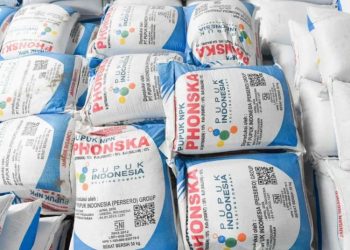Dewan Pati Minta PPL Proaktif Sosialisasikan Regulasi Tebus Pupuk Subsidi