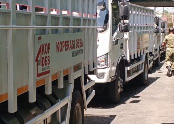 Distribusi Truk Operasional Koperasi Merah Putih Tiba di Blora - Harianmuria Distribusi Truk Operasional Koperasi Merah Putih Tiba di Blora