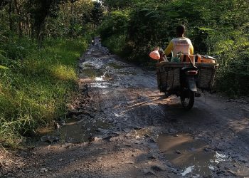 Jalan Kepoh-Balong Rusak Parah, Warga Minta Pemkab Blora Lakukan Perbaikan
