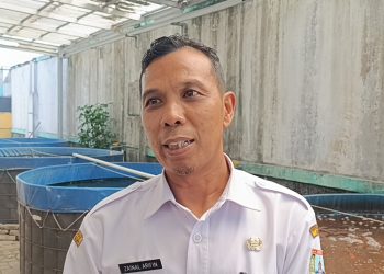 Budidaya Ikan di Kudus Dinilai Menjanjikan, Omzet Bisa Capai Rp10 Juta per Bulan - Harianmuria Budidaya Ikan di Kudus Dinilai Menjanjikan, Omzet Bisa Capai Rp10 Juta per Bulan