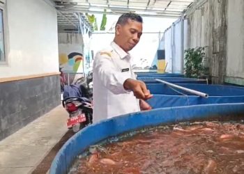 22 Koperasi Merah Putih di Kudus Diusulkan Terima Bantuan Budidaya Ikan Sistem Bioflok dari Pusat - Harianmuria 22 Koperasi Merah Putih di Kudus Diusulkan Terima Bantuan Budidaya Ikan Sistem Bioflok dari Pusat