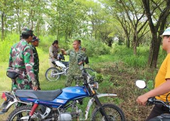 Pembangunan Batalyon Infanteri TP di Blora Akan Caplok Kawasan Hutan 77,8 Hektare - Harianmuria Pembangunan Batalyon Infanteri TP di Blora Akan Caplok Kawasan Hutan 77,8 Hektare