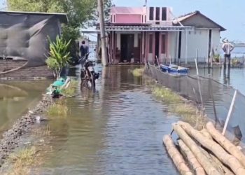10 Desa di Pati Terdampak Rob, Desa Tunggulsari Tayu Terparah - Harianmuria 10 Desa di Pati Terdampak Rob, Desa Tunggulsari Tayu Terparah
