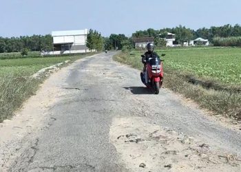 2 Km Jalan Pasar Hewan–Bringinwareng Rusak, DPRD Pati Desak Percepatan Perbaikan - Harianmuria 2 Km Jalan Pasar Hewan–Bringinwareng Rusak, DPRD Pati Desak Percepatan Perbaikan