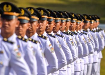 Camat Wajib Punya Sertifikat Kepamongprajaan, Bisa Daftar Pendidikan Profesi di IPDN