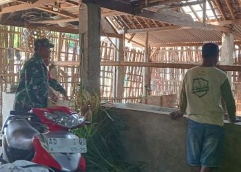 Jalin Komunikasi dengan Peternak, Babinsa Selo Boyolali Ajak Tingkatkan Kesadaran Kesehatan Ternak - Harianmuria Jalin Komunikasi dengan Peternak, Babinsa Selo Boyolali Ajak Tingkatkan Kesadaran Kesehatan Ternak