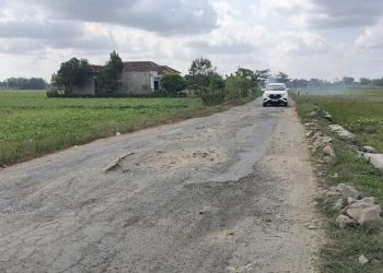 Perbaikan Jalan Pasar Hewan–Bringinwareng, DPRD Pati Ungkap Hal Ini - Harianmuria Perbaikan Jalan Pasar Hewan–Bringinwareng, DPRD Pati Ungkap Hal Ini