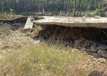 Awas! Jalan Desa Sinawah–Tegalsumur Grobogan Ambles, Warga Desak Perbaikan