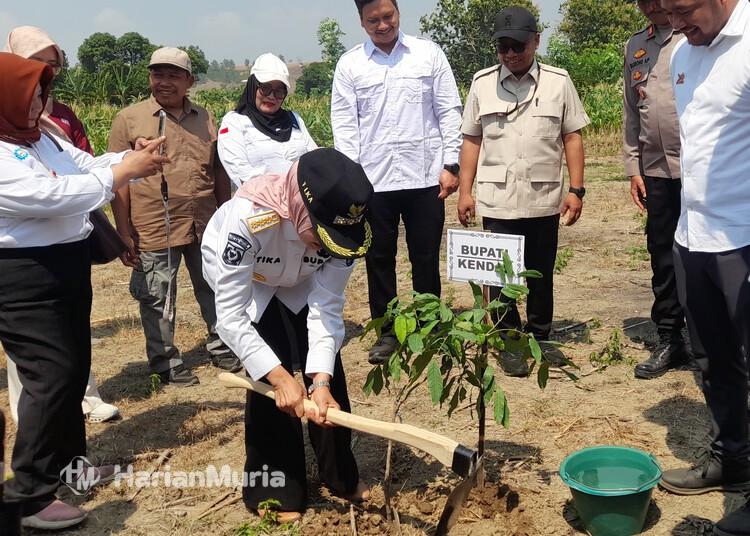Kendal Jadi Lokasi Program Agroforestry Nasional untuk Ketahanan Pangan dan Pemulihan Ekosistem - Harianmuria Bupati Kendal, Dyah Kartika Permanasari, menanam pohon saat peluncuran program Nature Based Solutions Agroforestry di kawasan Perhutanan Sosial Desa Wonosari, Kecamatan Pegandon, Rabu, 29 Juli 2026. (Anik Kustiani/Harianmuria.com)