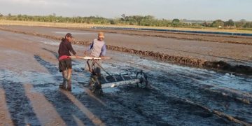 Desa Dimoro Grobogan Jadi Lokasi Perdana Penanaman Padi Sistem Teknologi Modern