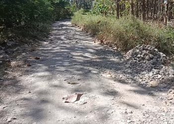 Jalan Getas-Nglebak Blora Rusak Parah, Warga Desak Perbaikan Segera