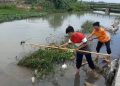 Kerap Dilanda Banjir, Pemkab Pati Usul Sudetan Sungai Juwana 11 Km