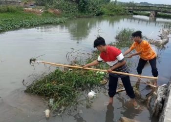 Kerap Dilanda Banjir, Pemkab Pati Usul Sudetan Sungai Juwana 11 Km
