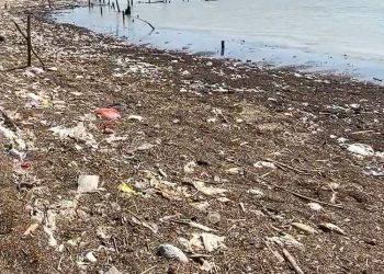 Miris! Pantai Lestari Pati Kini Didominasi Sampah hingga Limbah Industri Tapioka