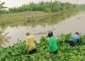 Petani Sukolilo Desak Pemkab Pati Segera Normalisasi Sungai Silugonggo - Harianmuria Petani Sukolilo Desak Pemkab Pati Segera Normalisasi Sungai Silugonggo
