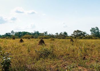 Polemik Peralihan Status Lahan di Karangsari Pati, Begini Kronologinya