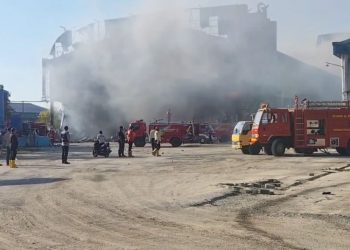 Potensi Kebakaran saat Kemarau Tinggi, Dewan Pati Ajak Warga Antisipasi - Harianmuria Potensi Kebakaran saat Kemarau Tinggi, Dewan Pati Ajak Warga Antisipasi
