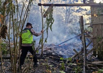 105 Kebakaran Terjadi di Grobogan dalam 7 Bulan, Faktor Kelalaian Mendominasi - Harianmuria 105 Kebakaran Terjadi di Grobogan dalam 7 Bulan, Faktor Kelalaian Mendominasi
