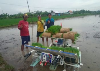 Beranggotakan 15 Petani Muda, Brigade Pangan Gerakkan Modernisasi Pertanian Rembang