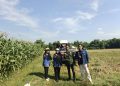 Petani Milenial Rembang Bangun Pertanian Modern, Ajak Generasi Muda Turun ke Sawah