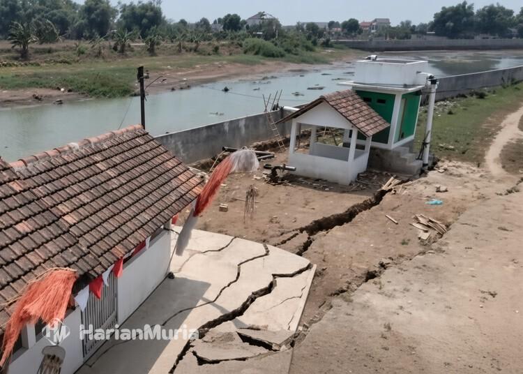 Bantaran Sungai Silugonggo Pati Ambles Imbas Air Menyusut, Warga Khawatir Merembet ke Permukiman - Harianmuria Kondisi bantaran Sungai Silugonggo di Desa Tondomulyo, Kecamatan Jakenan, Kabupaten Pati, yang ambles dan retak imbas air menyusut. (Harianmuria.com)