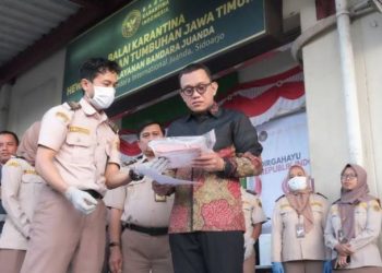 Barantin Pastikan Layanan Karantina Jatim Berjalan Optimal - Harianmuria Kepala Badan Karantina Indonesia (Barantin) Abdul Kadir Karding (tengah baju batik) saat mengecek paket berisi udang artemia yang akan dikirim dari Sidoarjo menuju Sumbawa, dalam kunjungannya ke Satuan Pelayanan (Satpel) Karantina Terminal Kargo Bandara Internasional Juanda di Sidoarjo, Minggu (9/8/2026).