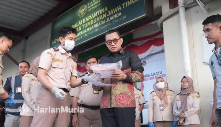 Barantin Pastikan Layanan Karantina Jatim Berjalan Optimal - Harianmuria Kepala Badan Karantina Indonesia (Barantin) Abdul Kadir Karding (tengah baju batik) saat mengecek paket berisi udang artemia yang akan dikirim dari Sidoarjo menuju Sumbawa, dalam kunjungannya ke Satuan Pelayanan (Satpel) Karantina Terminal Kargo Bandara Internasional Juanda di Sidoarjo, Minggu (9/8/2026).