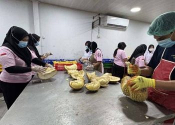 Baru Masuk China, Ekspor Durian Sulteng Langsung Tembus 7.344 Ton - Harianmuria Baru Masuk China, Ekspor Durian Sulteng Langsung Tembus 7.344 Ton | Harianmuria