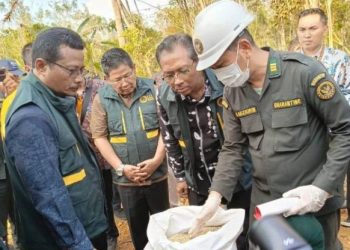 Kementerian UMKM dan Barantin Terbitkan Dokumen Ketelusuran Produk Ekspor | Harianmuria
