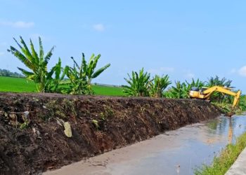 Komisi C DPRD Pati Minta DPUTR Siagakan Ekskavator untuk Normalisasi Sungai - Harianmuria Komisi C DPRD Pati Minta DPUTR Siagakan Ekskavator untuk Normalisasi Sungai