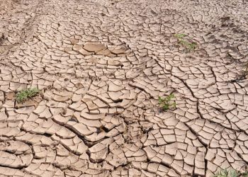Pati Raya Berstatus Awas Kekeringan Meteorologis, BMKG Imbau Antisipasi Krisis Air