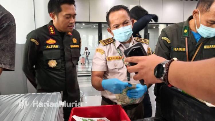 Pengawasan Bandara Mutiara Palu Diperkuat, Barantin Cegah Hama dari Penerbangan Internasional - Harianmuria Karantina Sulawesi Tengah melakukan pemeriksaan barang penumpang dengan rute penerbangan ke China di Bandara Mutiara SIS AL-Jufri Palu, Kamis (6/8/2026).