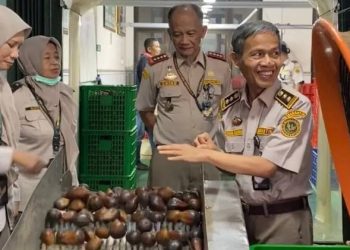 Siap Banjiri Pasar Tiongkok, Barantin-KBRI Genjot Rencana Perluasan Ekspor - Harianmuria Barantin memantau proses ekspor salak dari Yogyakarta.