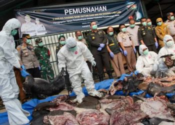 Petugas Karantina Banten melakukan pemusnahan daging tanpa dokumen resmi di Pelabuhan Penyeberangan Merak, Banten. (Dok. Barantin)