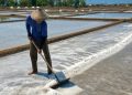 Produktivitas Garam Meningkat, Harganya Justru Anjlok Hingga Rp550 Per Kilogram