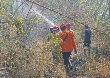 3 Kali Kebakaran dalam Sepekan, Warga Grobogan Diimbau Tak Bakar Sampah Sembarangan - Harianmuria 3 Kali Kebakaran dalam Sepekan, Warga Grobogan Diimbau Tak Bakar Sampah Sembarangan
