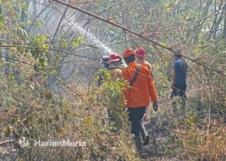 3 Kali Kebakaran dalam Sepekan, Warga Grobogan Diimbau Tak Bakar Sampah Sembarangan - Harianmuria Petugas saat melakukan pemadaman kebakaran lahan di wilayah Grobogan. (Ahmad Abror/Harianmuria.com)