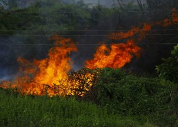 Potensi Kebakaran Lahan di Musim Kemarau, BPBD Rembang Tingkatkan Pemantauan - Harianmuria Potensi Kebakaran Lahan di Musim Kemarau, BPBD Rembang Tingkatkan Pemantauan