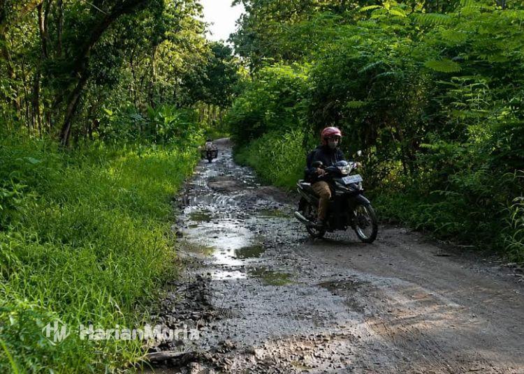 Pemkab Blora Berharap dapat Alokasi DAK Rp2,3 Triliun dari Pusat untuk Perbaikan Jalan - Harianmuria Kerusakan Jalan di wilayah Kabupaten Blora. (Eko Wicaksono/Beritajateng.id)