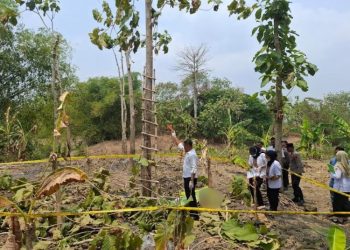 Diduga Terjatuh dari Pohon Jati, Warga Kunden Grobogan Ditemukan Meninggal