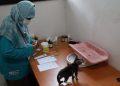 Hari Rabies Sedunia, Pemkot Pekalongan Gelar Layanan Kesehatan Hewan Gratis dan Vaksinasi