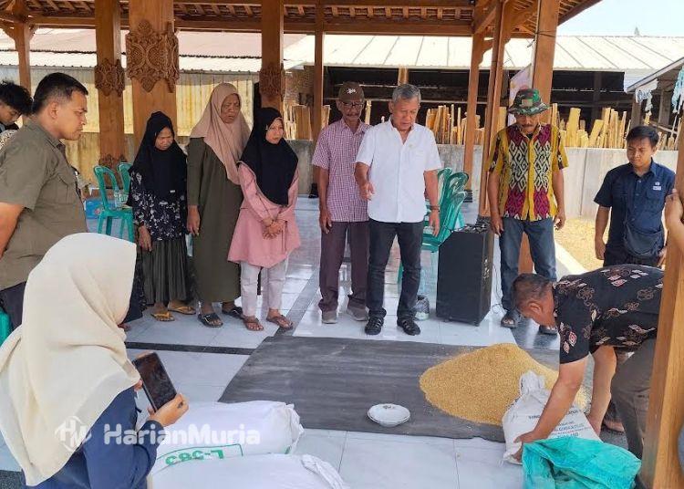 Kelompok Usaha di Blimbingrejo Jepara Dilatih Budi Daya Ayam Petelur - Harianmuria Kelompok Usaha Bersama (KUB) Ternak Rejo Desa Blimbingrejo, Kecamatan Nalumsari, Kabupaten Jepara diberi pelatihan budi daya ayam petelur pada Selasa, 22 September 2026. (Tomi Budianto/Harianmuria.com)