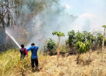 Risiko Kebakaran Tinggi saat Kemarau, Dewan Pati Ingatkan Petugas dan Warga Waspada