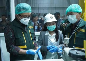 Karantina Sultra sedang memastikan produk tepung tapioka yang akan diekspor sesuai spesifikasi.