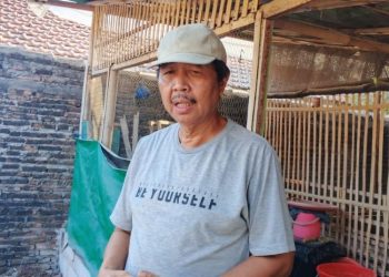 Warga Semarang Manfaatkan Sisa Makanan MBG Jadi Campuran Pakan Ayam - Harianmuria Warga Semarang Manfaatkan Sisa Makanan MBG Jadi Campuran Pakan Ayam