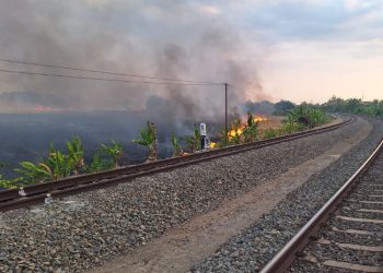 Karhutla Marak Terjadi saat Kemarau di Grobogan, Mayoritas Dipicu Kelalaian Manusia