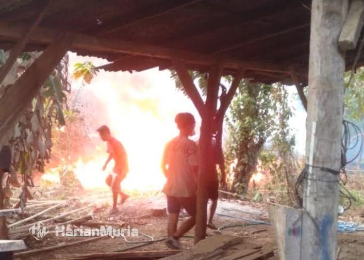 2 Kebakaran Lahan Terjadi dalam Sehari di Jepara, Diduga Akibat Pembakaran Sampah - Harianmuria Tampak kobaran api yang membakar lahan di Desa Kuwasen, Kecamatan Jepara, Kabupaten Jepara, Selasa, 29 September 2026. (Tomi Budianto/Harianmuria.com)