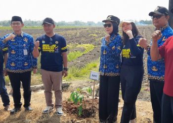 Bupati Kendal Bidik Tejorejo Jadi Sentra Sukun, 150 Bibit Ditanam Bareng Karang Taruna