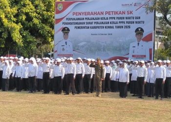 Masa Kerja 1.082 PPPK Paruh Waktu Kendal Diperpanjang, Bupati Minta Tingkatkan Kinerja
