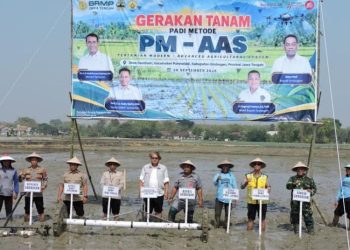 Targetkan Panen Padi Hingga 1 Juta Ton, Grobogan Kuatkan Penerapan Metode PM-AAS